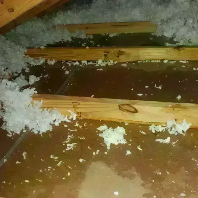 Attic Water Damage in Shavertown, PA